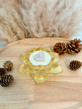 Golden Bloom